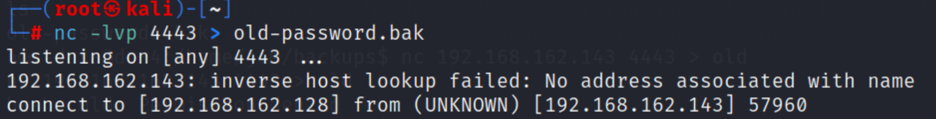 image-20250224211046701