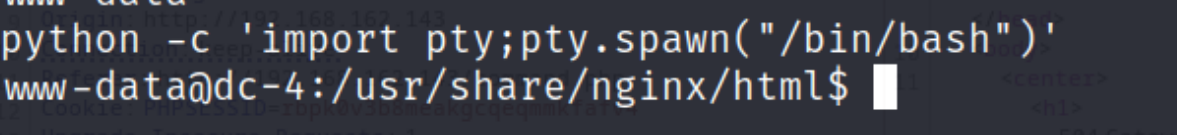 image-20250224203554672
