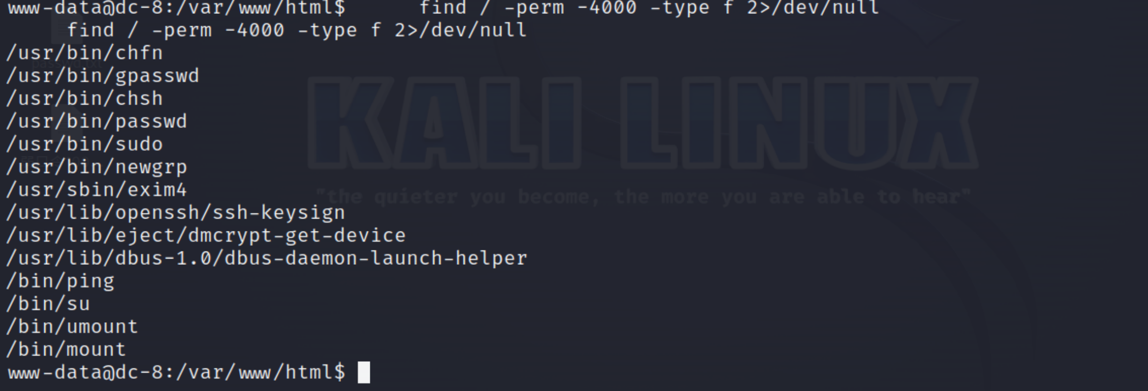 image-20250824151348126