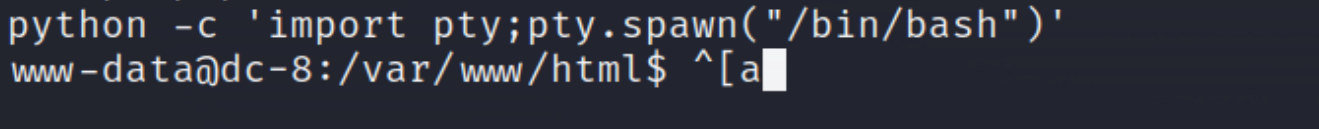 image-20250824145327323