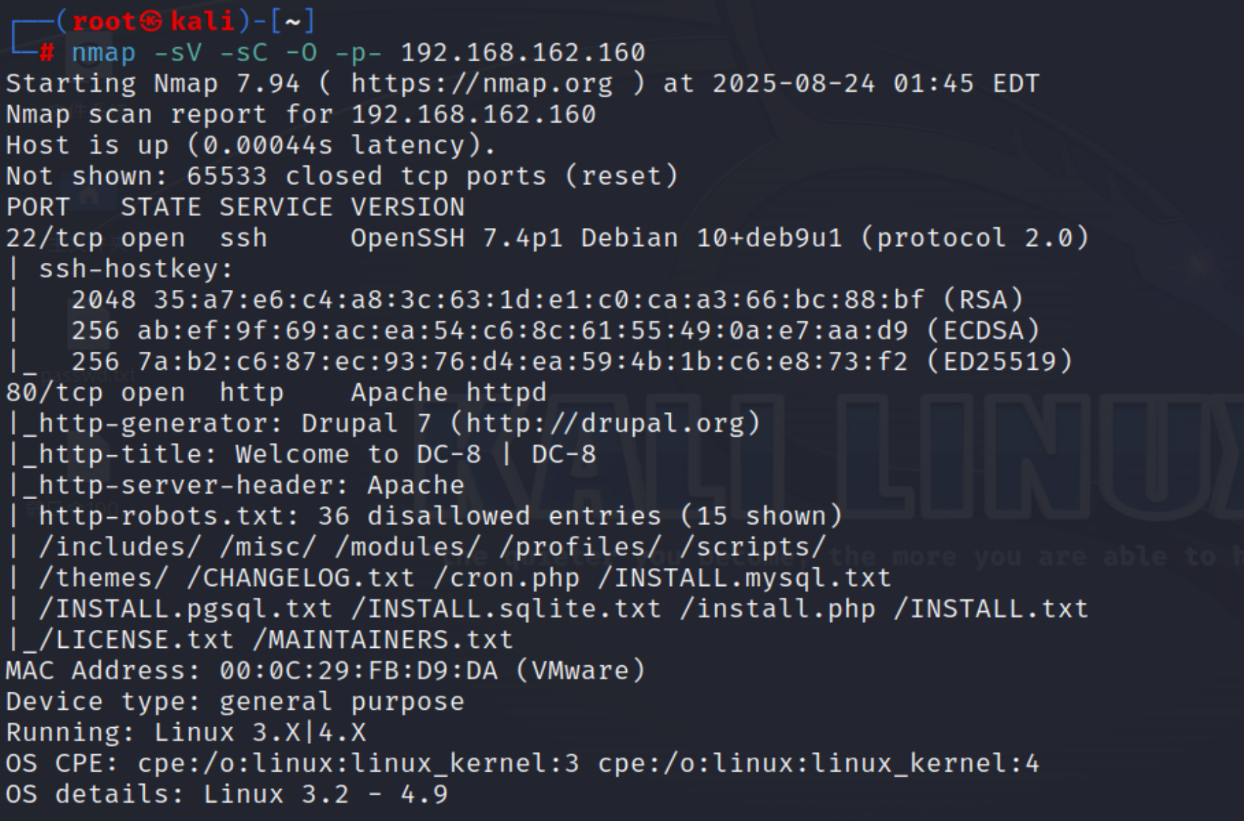 image-20250824134614938