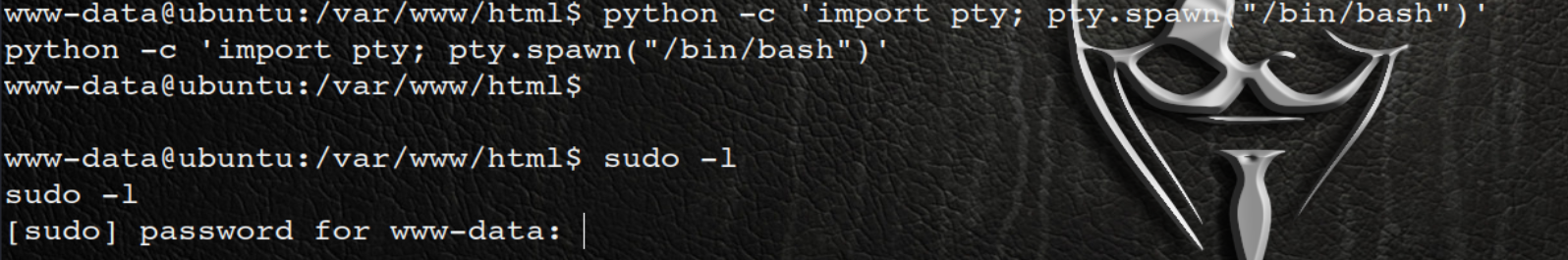 image-20250908124703648