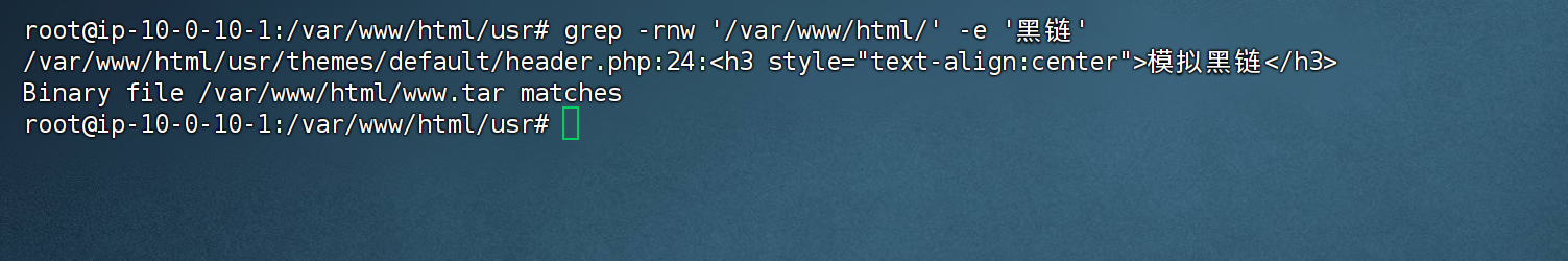 image-20251018173116563