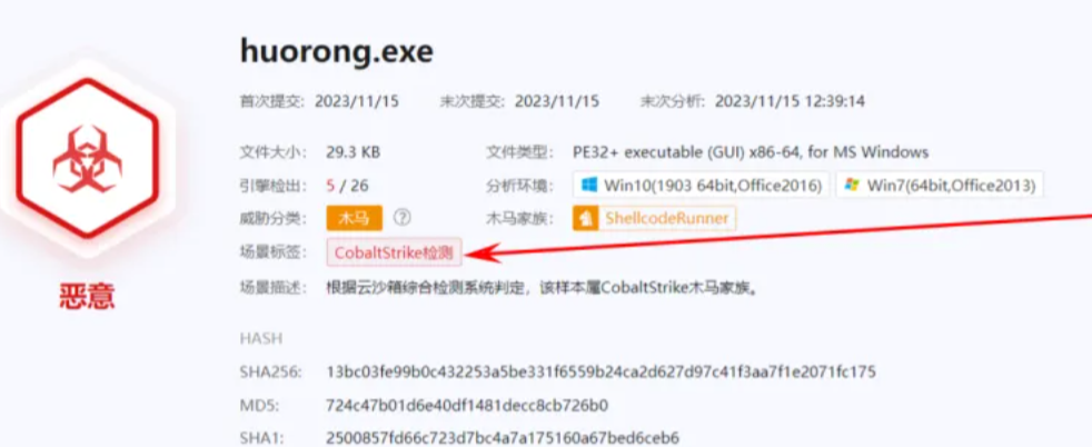 image-20251023101246335