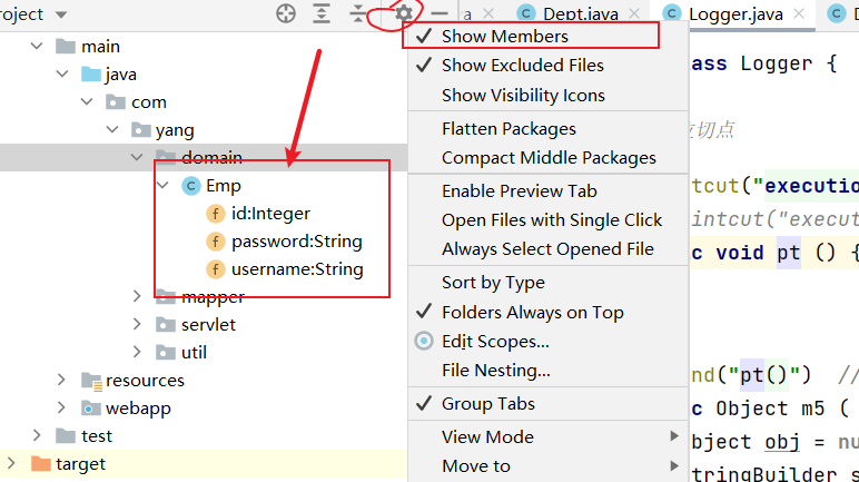 idea中项目树中展示在java类的成员方法，变量