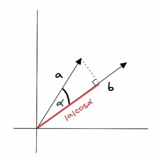 什麼是向量