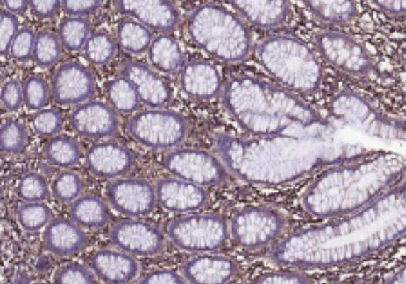 QQ截图20260114151607