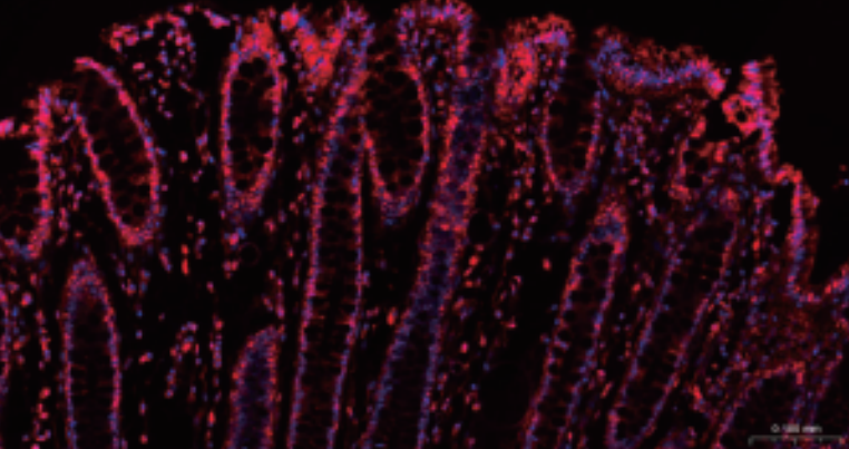 QQ截图20260114151649