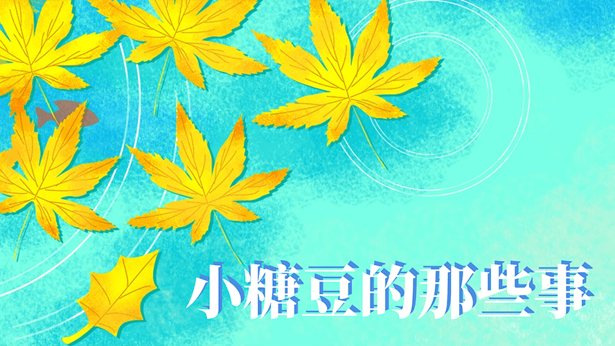 小糖豆的那些事