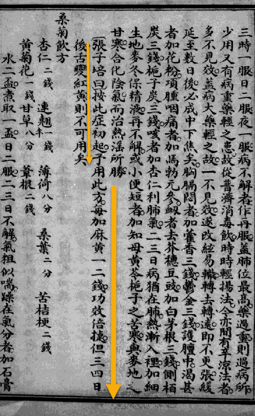 张子培·银翘散加麻黄