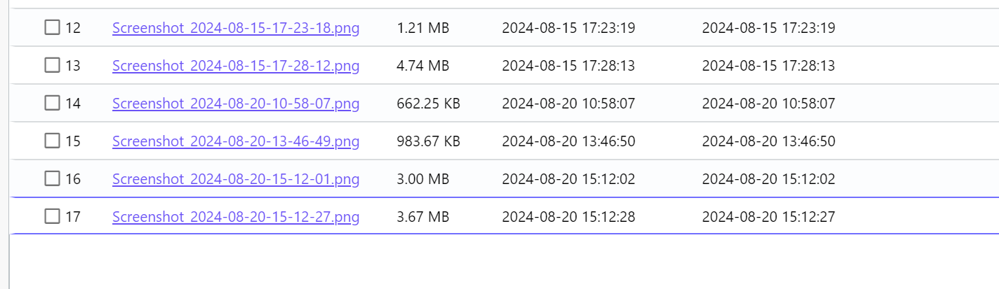 image-20250325090414485