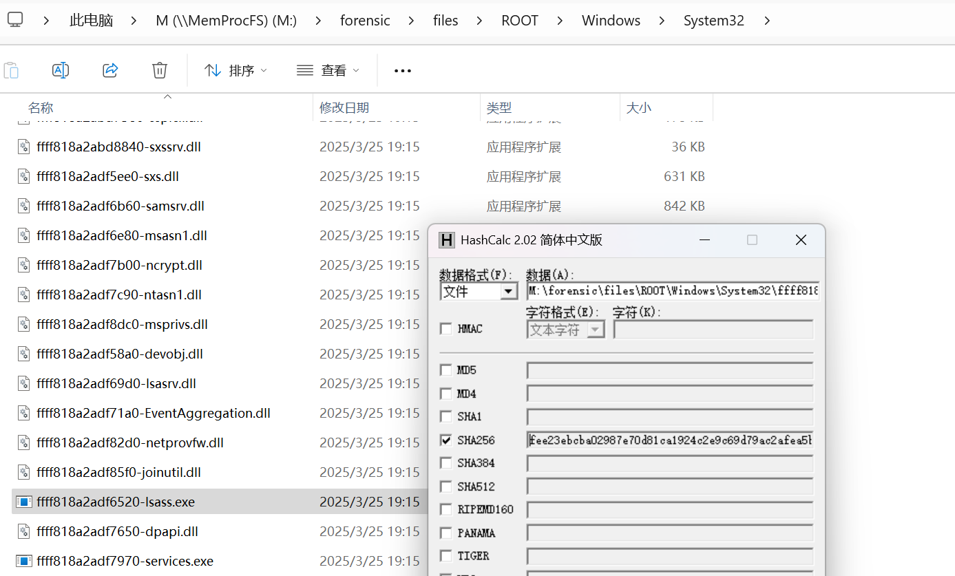 image-20250325192533476