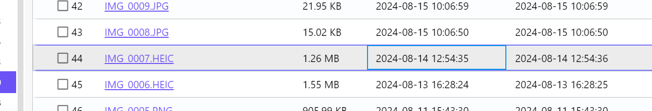 image-20250331100406021