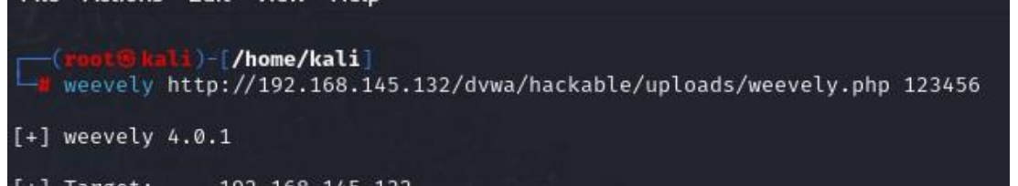 image-20250331191009674