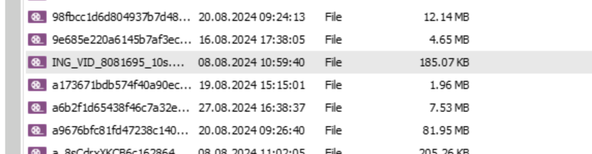 image-20250408195044716