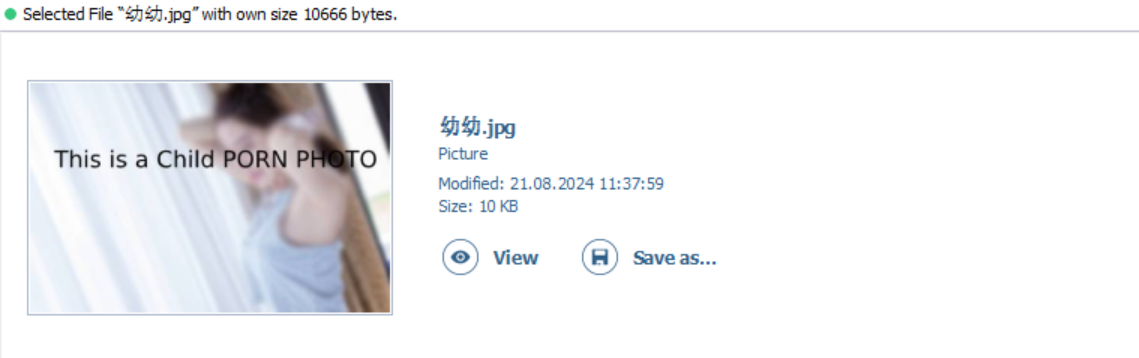 image-20250408194735423