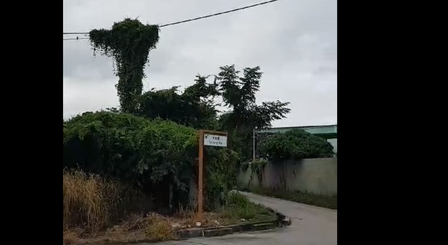 image-20250410094049396