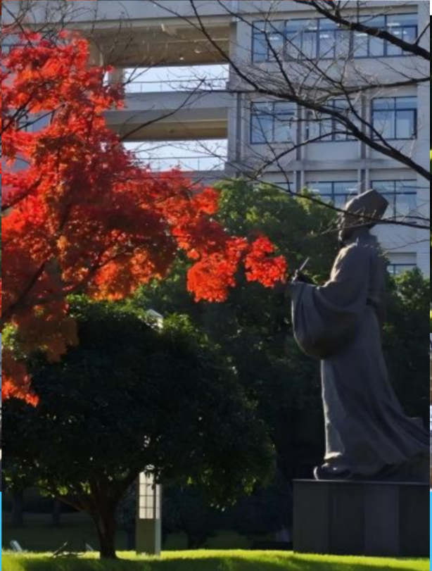 image-20250423183442656