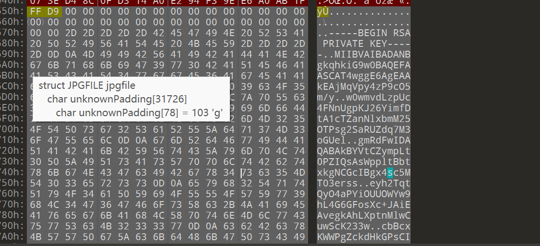 image-20250423205311532