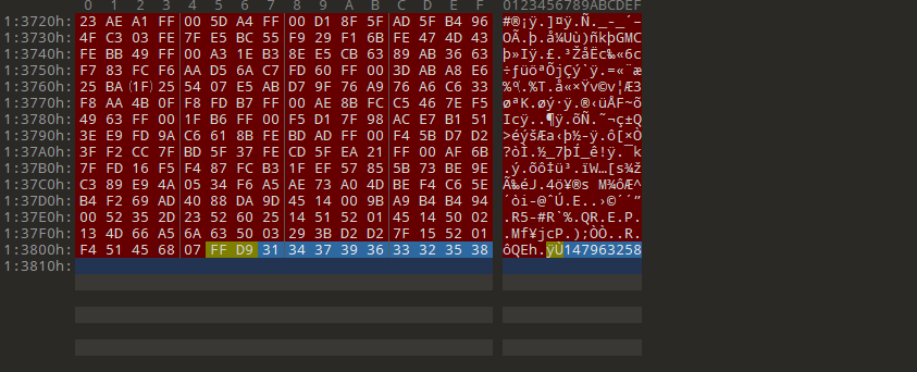 image-20251102203346676