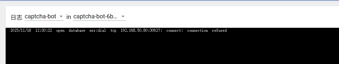 image-20251118203426970