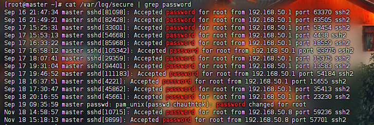 image-20251118152140096