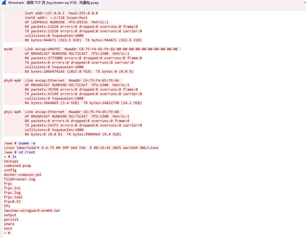 image-20251117204729476