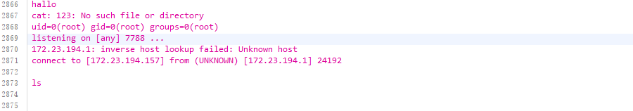 image-20251213173808275