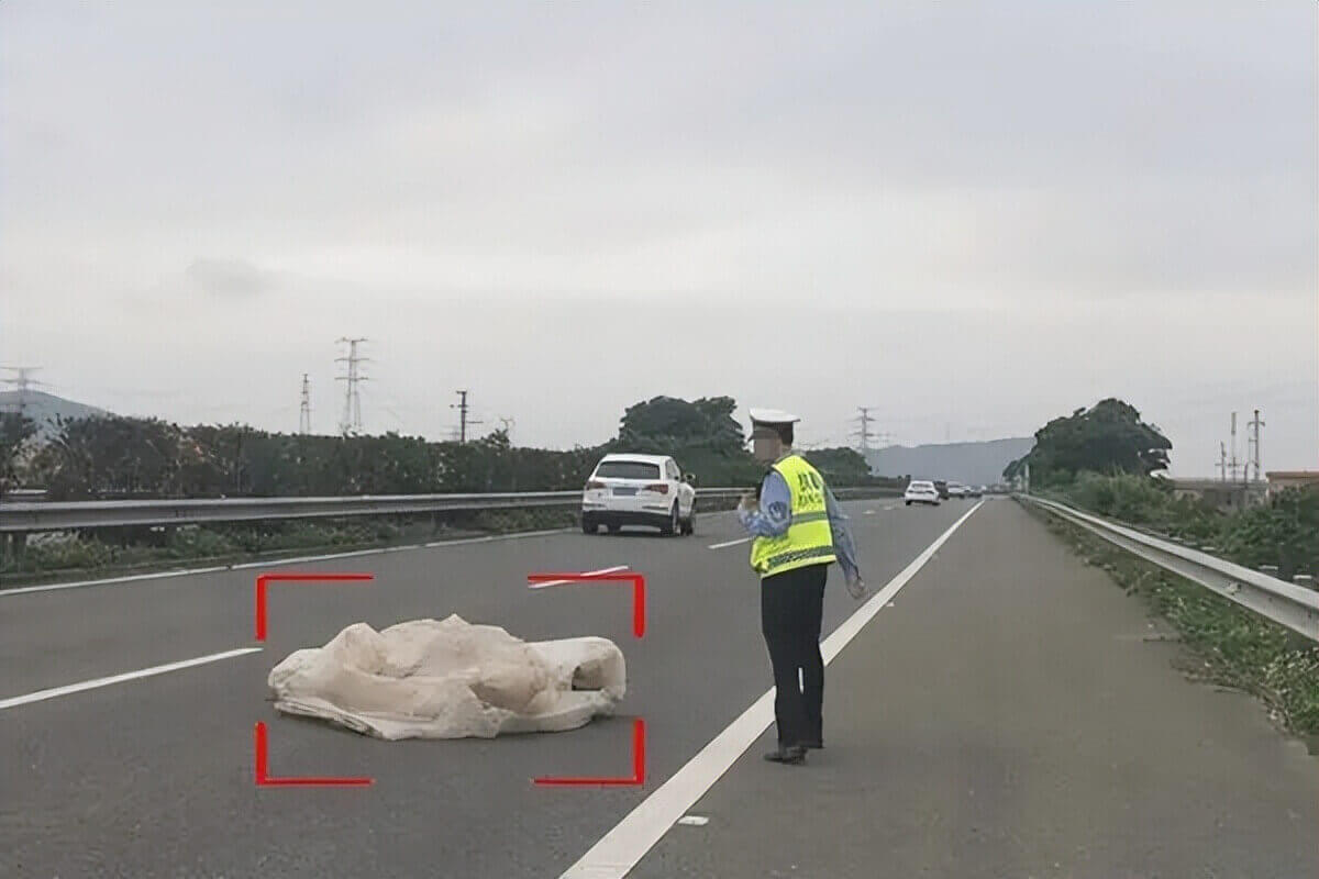 道路缺陷智能检测系统