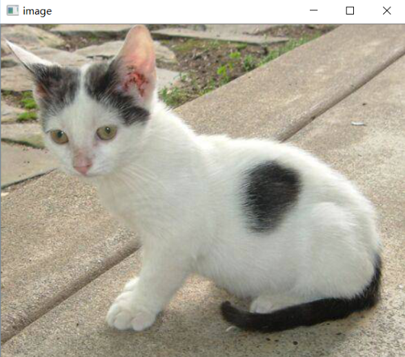 屏幕截图 2025-11-20 090225