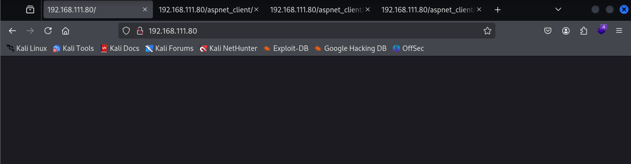 image-20250623091805655