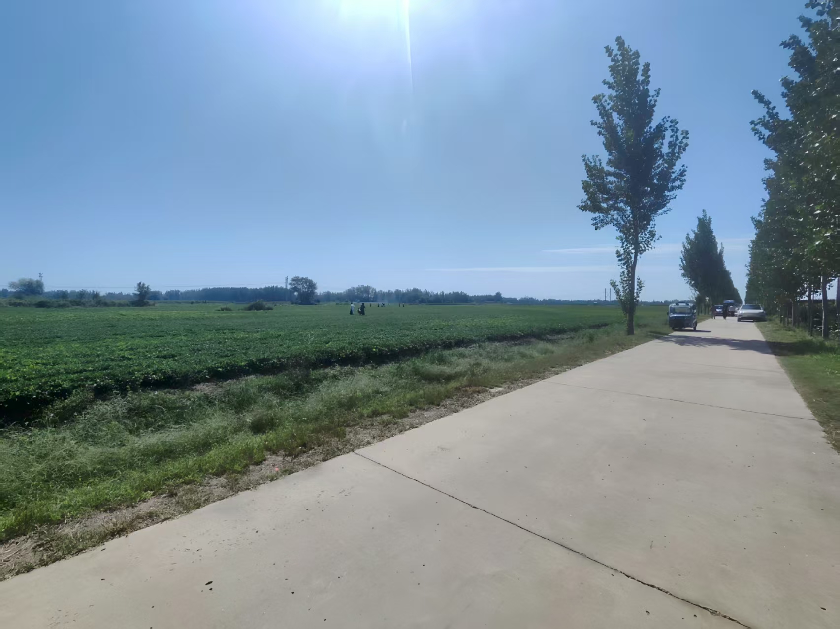 bf6e19dd92bc4fcd37047ae5a5db8ac