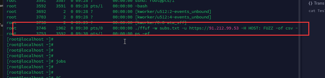 image-20240824102634985