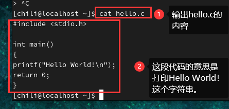 image-20240821104104253