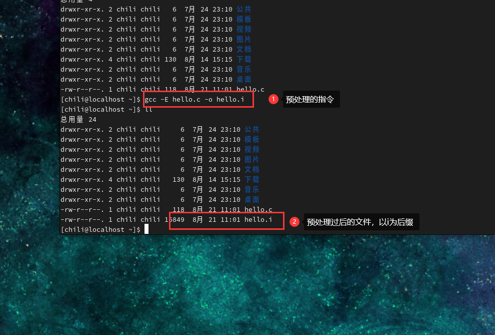 image-20240821110237039
