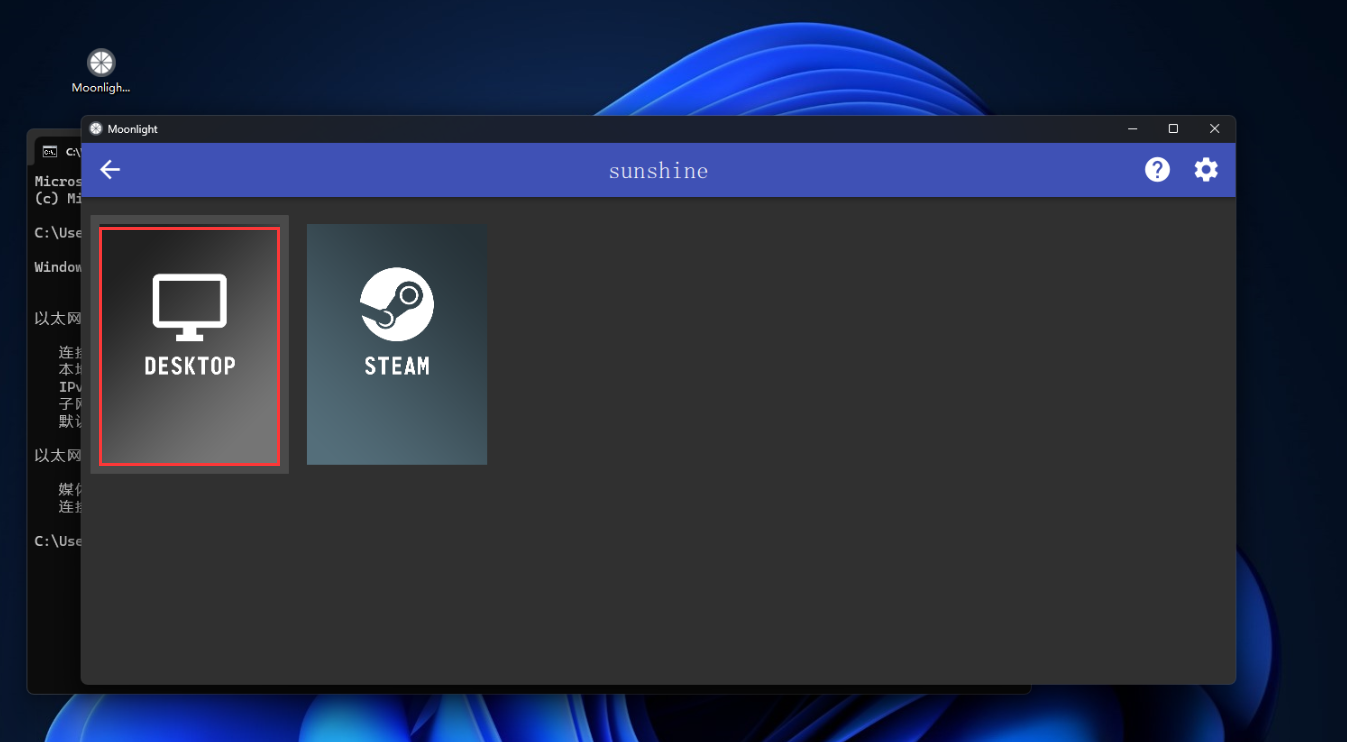 image-20240816205559273