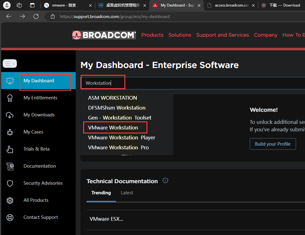 image-20240806183705010