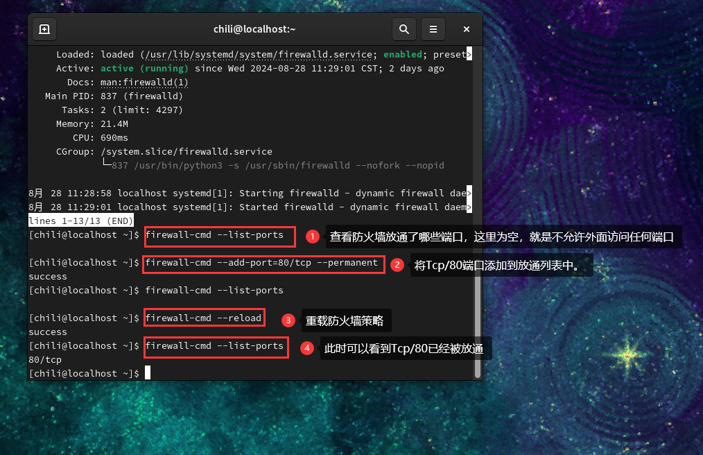 image-20240831104507636