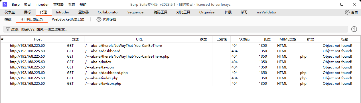 image-20240604092409218