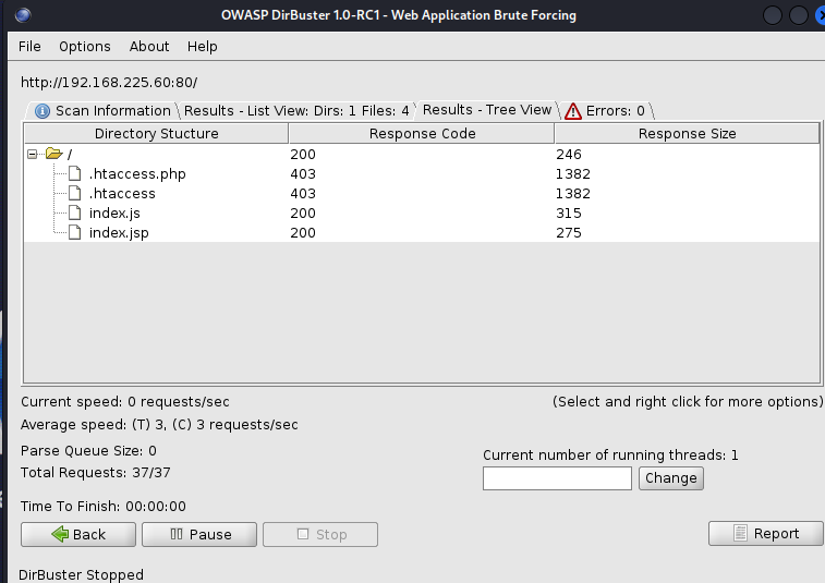 image-20240604153829435