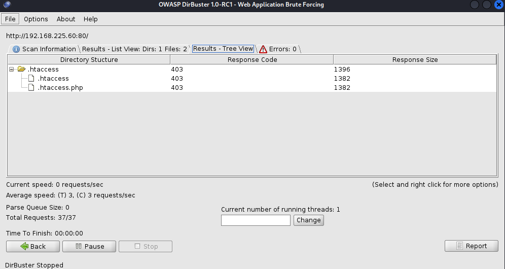 image-20240604152638484