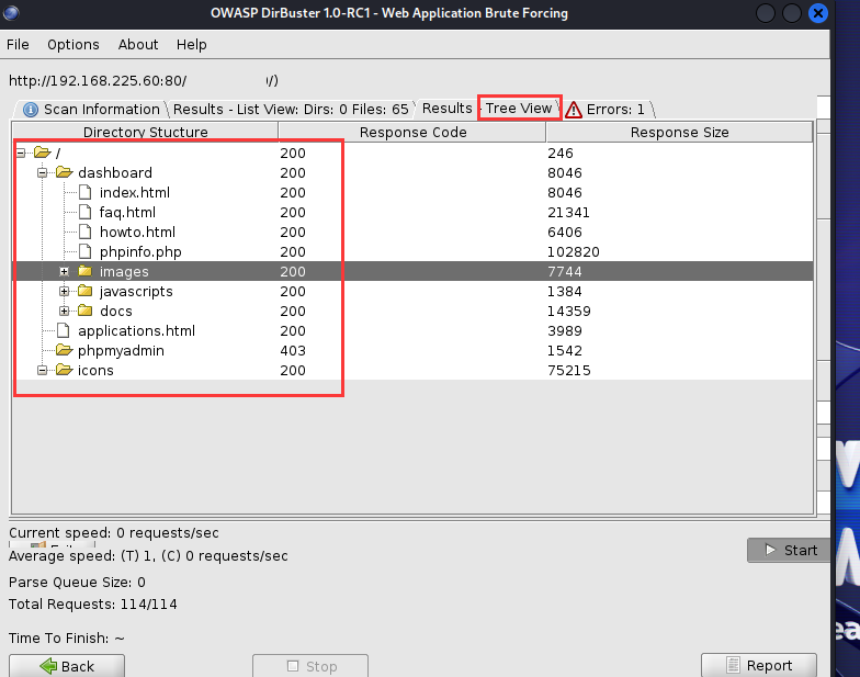 image-20240603173107320