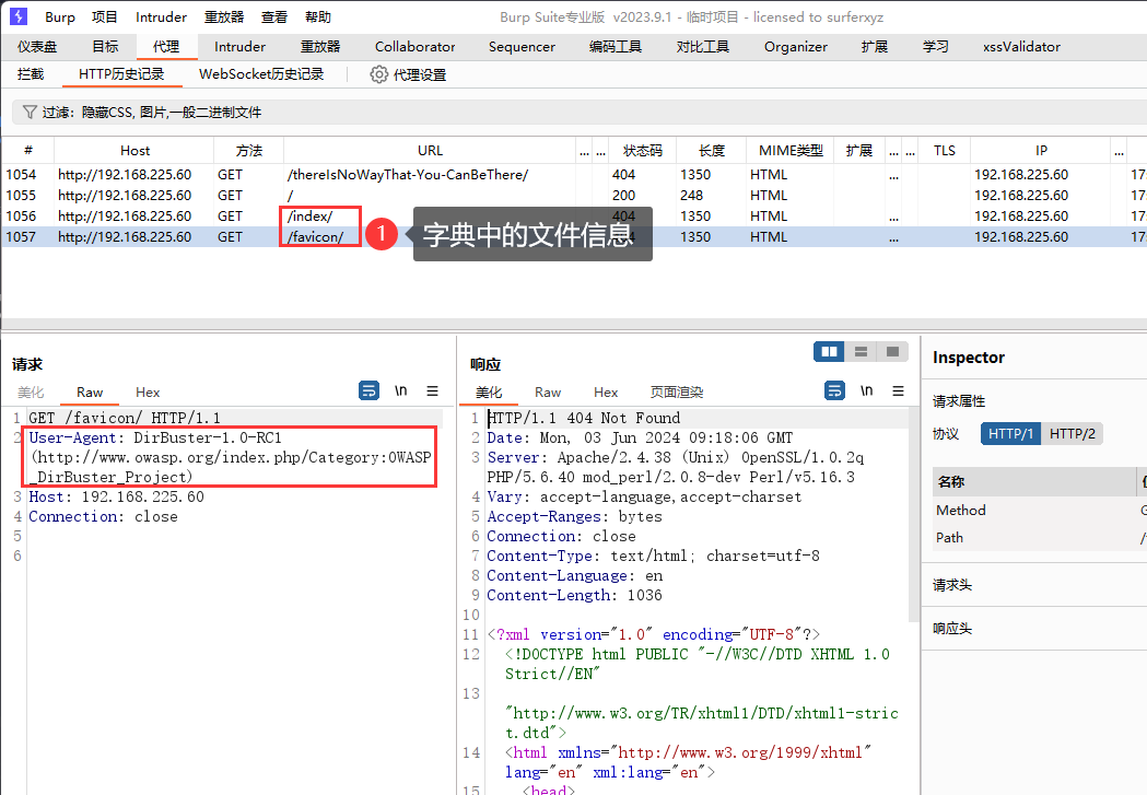 image-20240603171953003