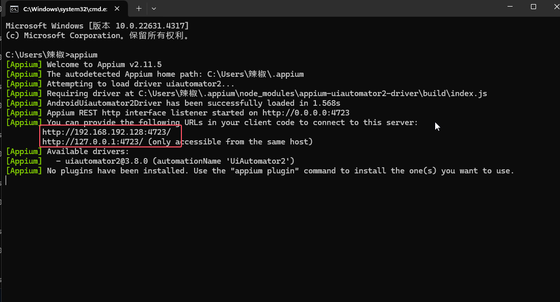 image-20241012213408181