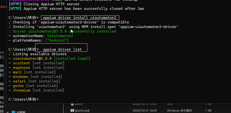 image-20241012104749719